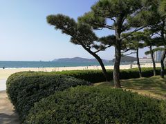 -海云台海滩