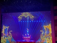 -水秀国际大剧院