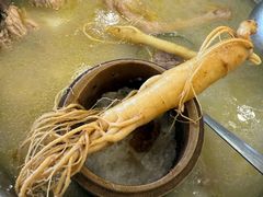 -朴小妹人参鸡汤火锅(长白山万达店)