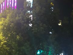 -紫荆广场·花漫里