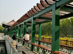-莲花池公园