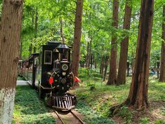 -黄海国家森林公园