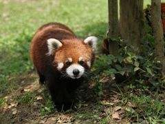 -常州淹城野生动物世界