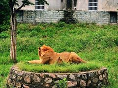 -西安秦岭野生动物园