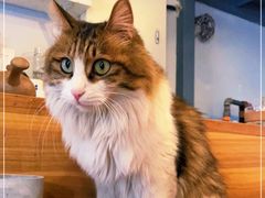 -有肉食·虎九闽菜(798艺术区店)