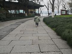 -西湖游船