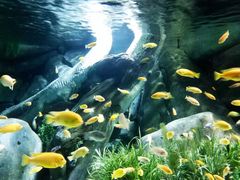 -福州罗源湾海洋世界旅游区