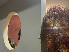 -老平安农家菜(平安店)