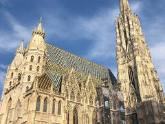 -斯蒂芬主教座堂(Stephansdom)