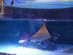 -沈阳海洋探索中心