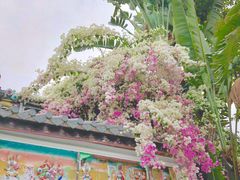 -深圳国际园林花卉博览园