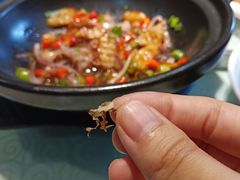 -凯达饺子城(燕山大街店)