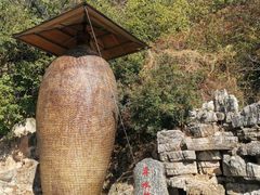 -抚仙湖禄充风景区