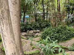 -成都市活水公园