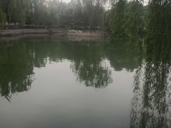 -黄村公园