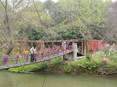 -南汇桃花村
