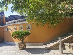 -珞珈山-售票处