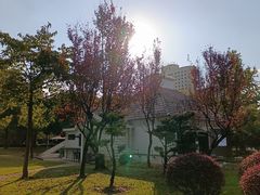 -新虹桥中心花园