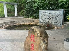 -深圳龙潭公园