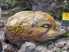 -南海湾森林生态园