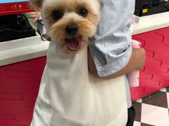 -多卡布奇宠物生活馆(上林世家店)