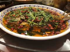 杨记招牌鱼-杨记隆府(时代天街店)
