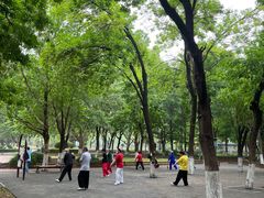 -康庄公园