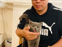 -猫友咖啡店(玉林西路店)