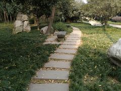 景点-神仙树公园