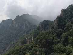-王顺山国家森林公园
