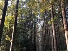 -上海怡沁园度假酒店