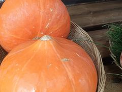 -福照楼汽锅鸡·云南菜(护国路店)