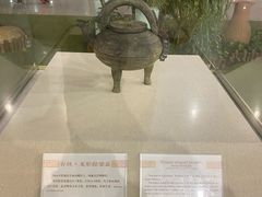 -合肥新桥国际机场-航站楼