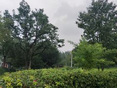 -泰丰公园
