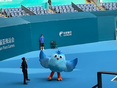 -杭州奥体中心-体育场