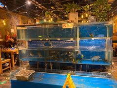 -小俩口烧烤东北菜(双井店)