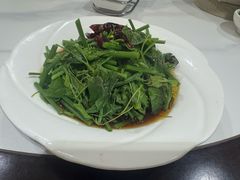 -上庄晋风庄园(上庄店)