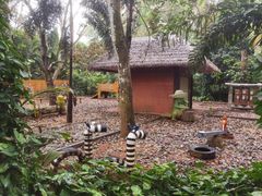 -海南热带野生动植物园
