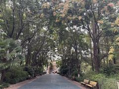 -苏州河梦清园环保主题公园