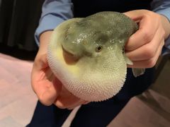 -肆月河豚·淮扬菜·湘菜(华天店)