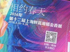 -上海鲜花港