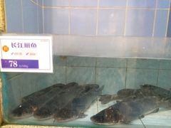 -新兴家喻酒家·羊城名宴(昌岗店)