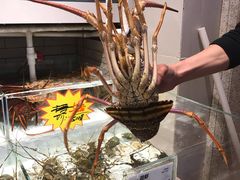 -万龙洲海鲜(大兴绿地缤纷城店)