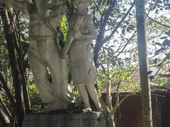 -瑞丽独树成林风景区