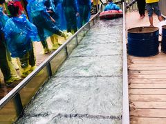 -龙湾潭国家森林公园