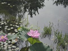 -北坞公园