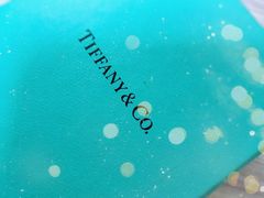 -Tiffany & Co.蒂芙尼
(武汉武商MALL店)