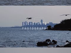 -深圳湾公园(南山区)