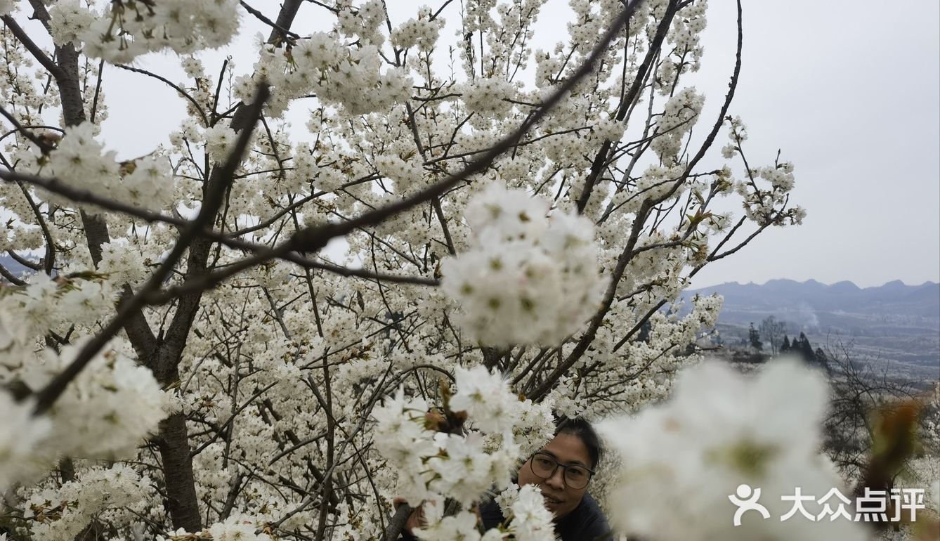 清镇市熊老五兄弟烤鱼