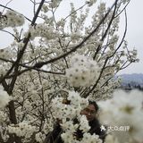 清镇市熊老五兄弟烤鱼